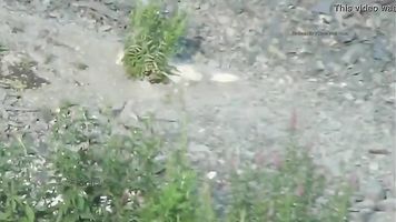 Espiar a estas chicas duchándose