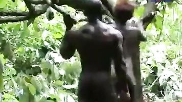 Ghana forest saga
