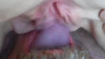 Espiando A Mi Cachonda Paso Mamá