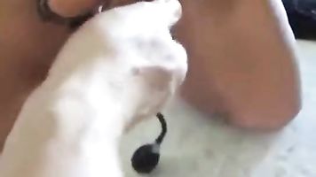Mi esposa también es mi sucia esclava. Casa hecho amateur